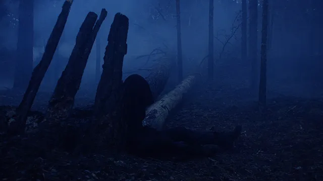 Photo of JOHNYBOY - Intro