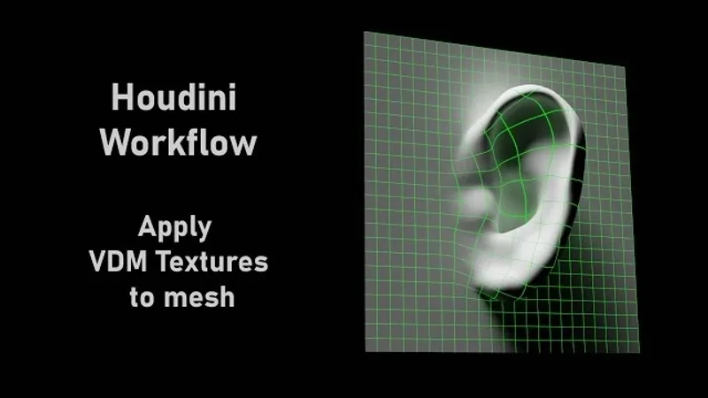 Houdini Apply VDM Texture