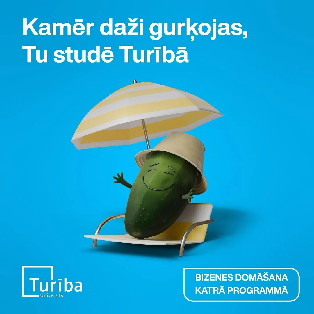 Turiba project photo 12