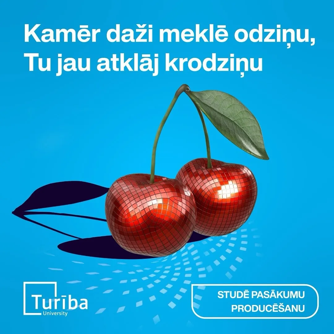 Turiba project photo 3