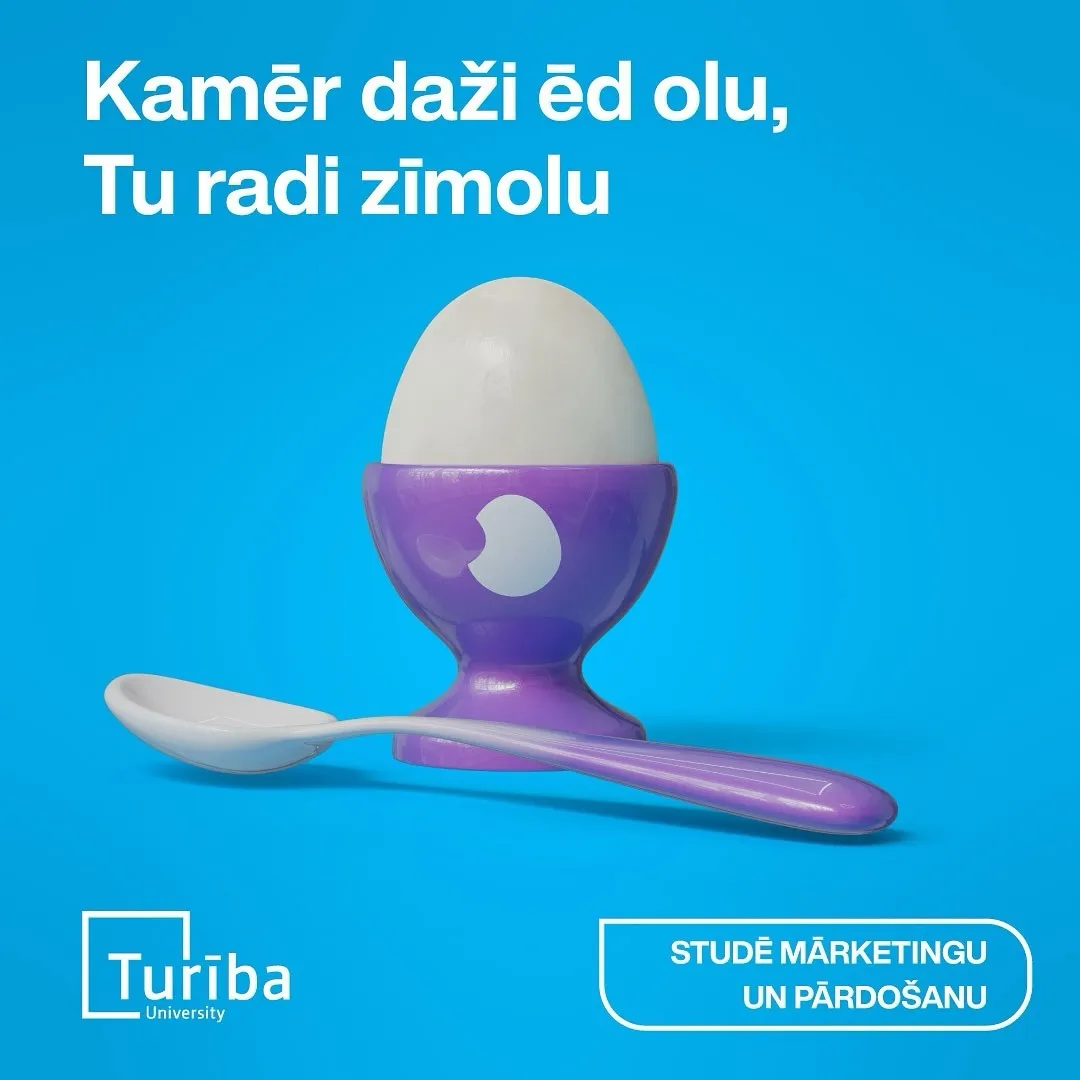 Turiba project photo 5