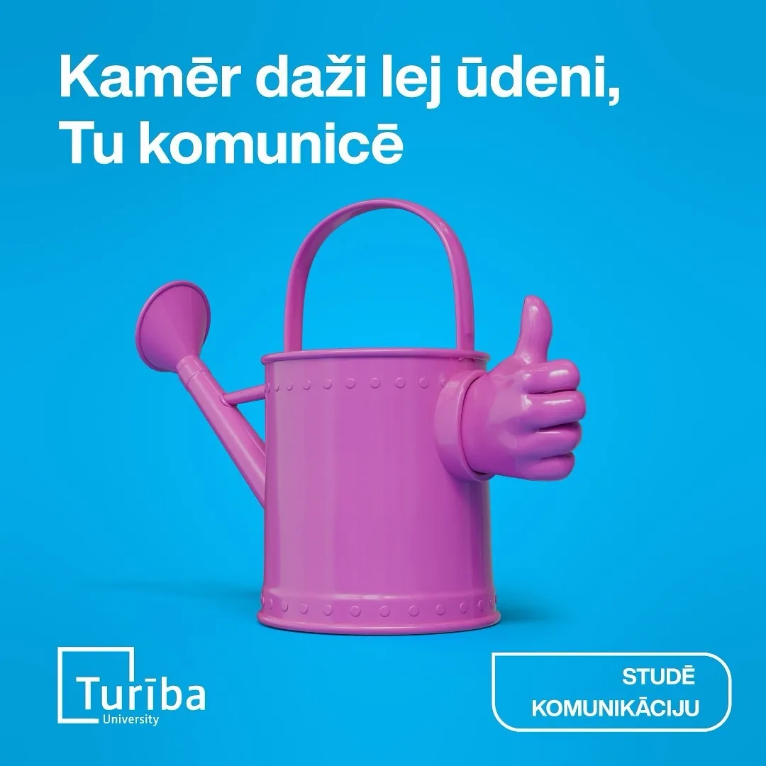 Turiba project photo 6
