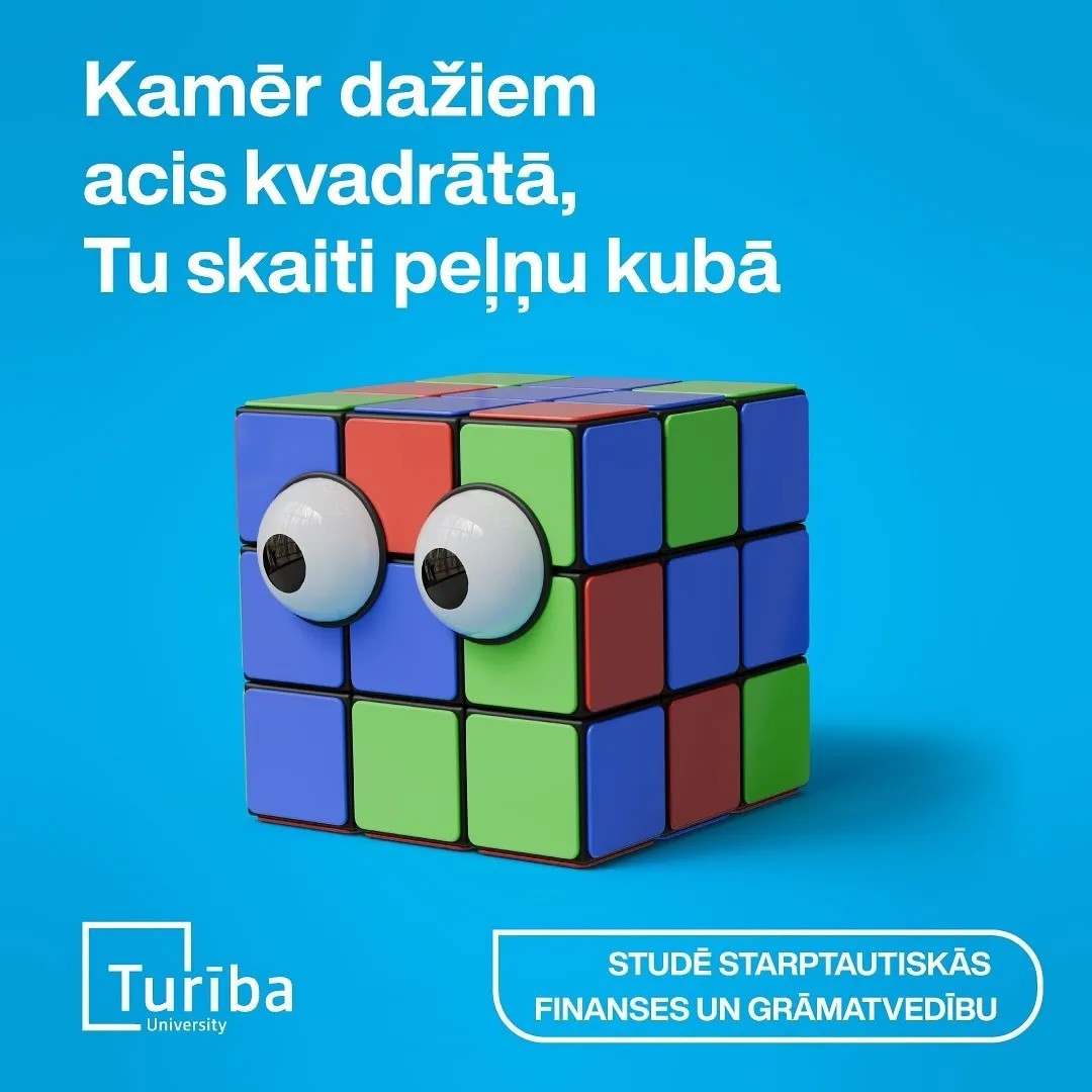 Turiba project photo 7